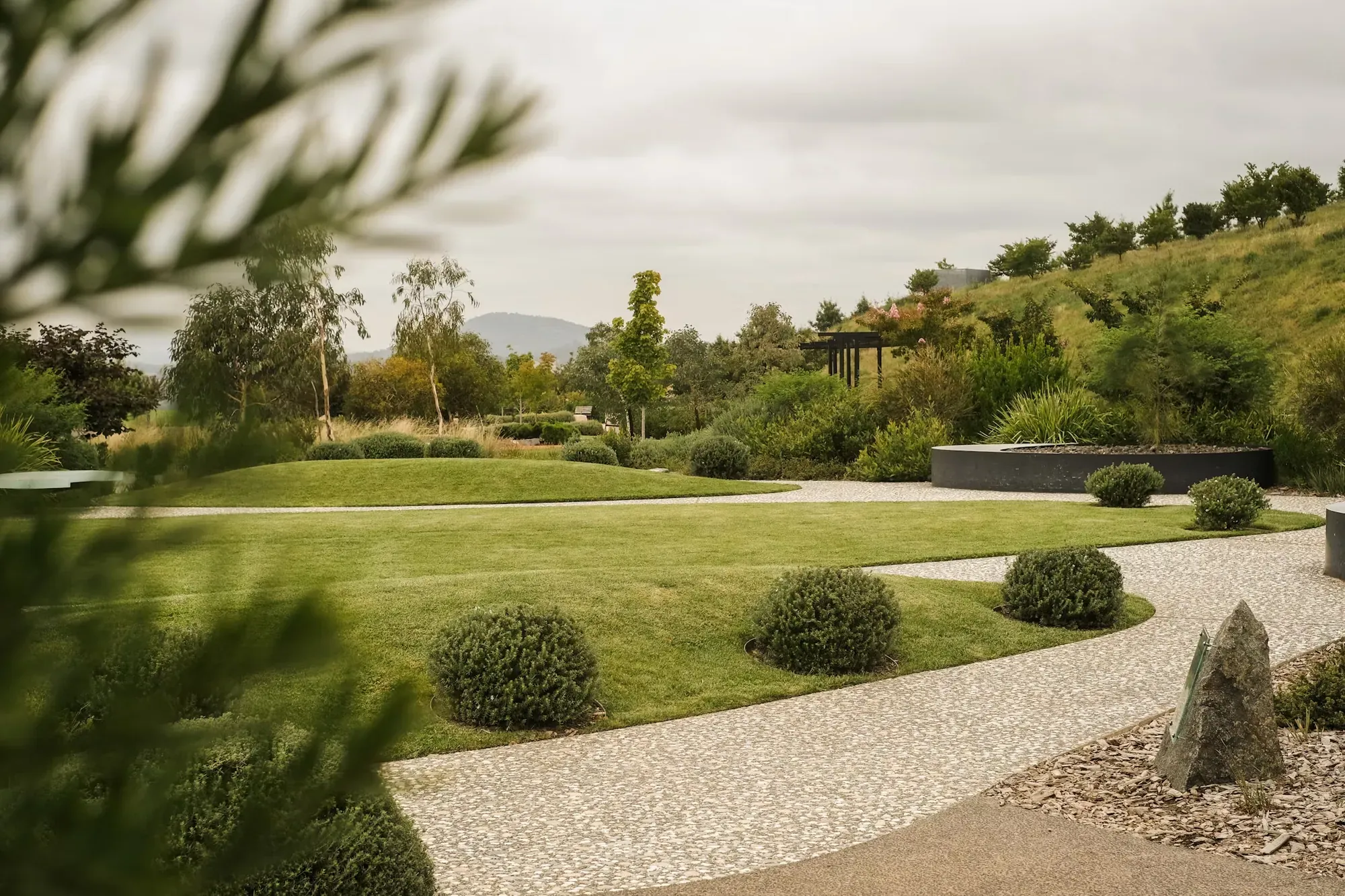 Landscaped garden with gravel paths, clipped shrubs, a lawn and trees